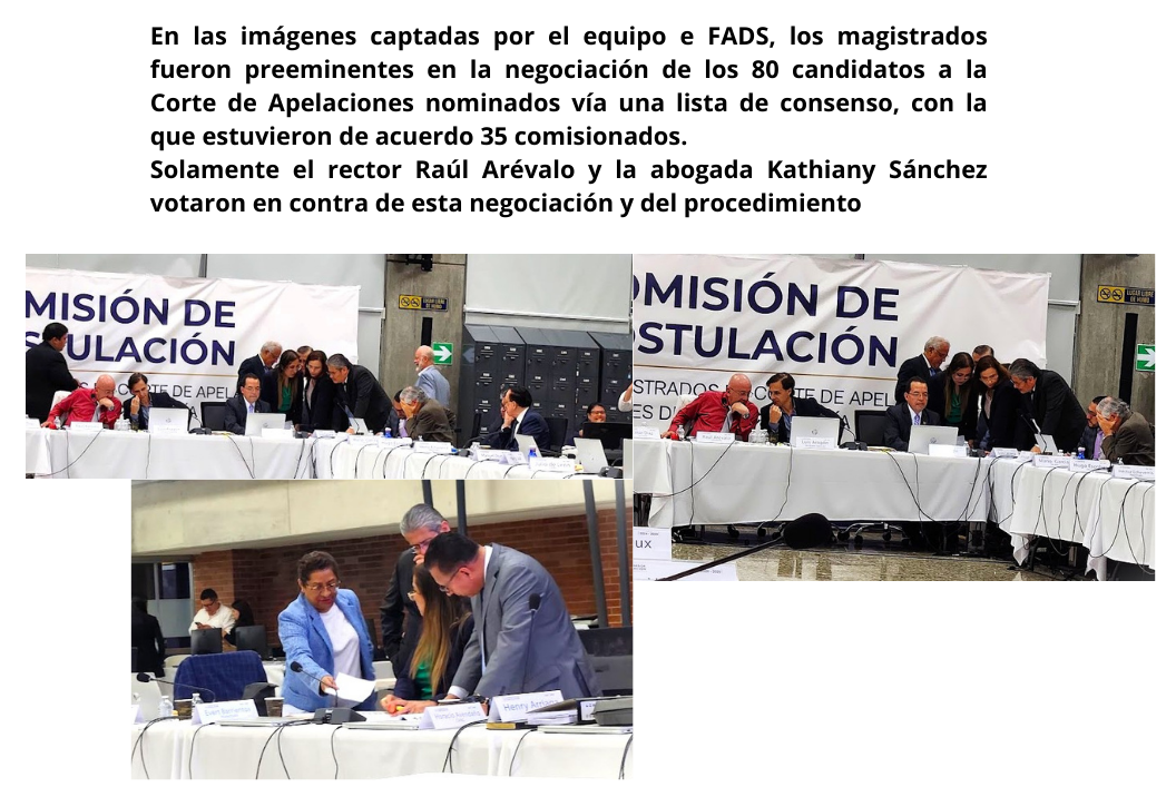 ¿Qué tanto cumplieron las comisiones de postulación la Ley de la Carrera Judicial? 